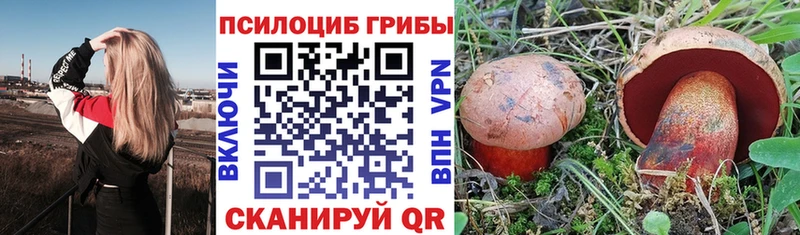Галлюциногенные грибы Psilocybe  Купить где  Апрелевка 